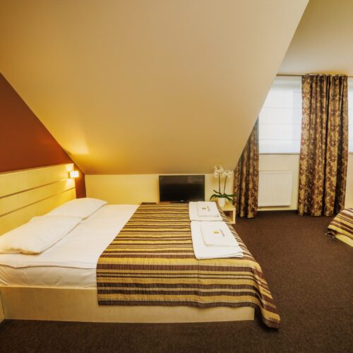 Pokój dwuosobowy z łóżkiem małżeńskim