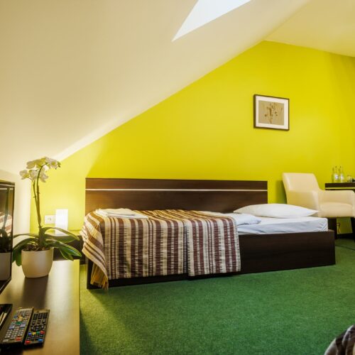 Pokój z dwoma pojedynczymi łóżkami